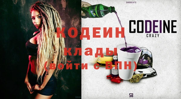 шишки Переславль-Залесский