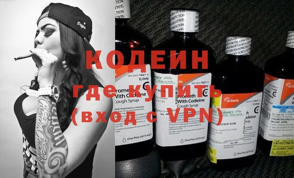 шишки Переславль-Залесский